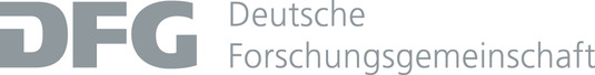 dfg_logo_schriftzug_grau