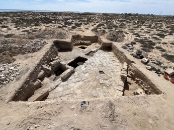 bild 6-trench 24 - overview